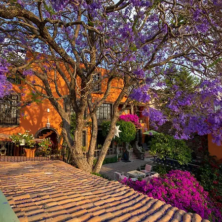 Casa Schuck Boutique Hotel-3